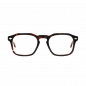 lentes con estilo carey