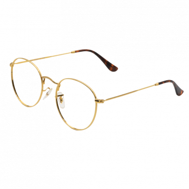 Dupe Raybans
