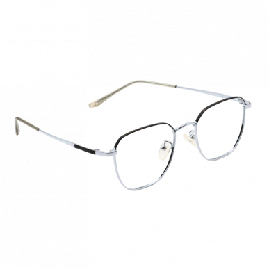 Lentes metalicos